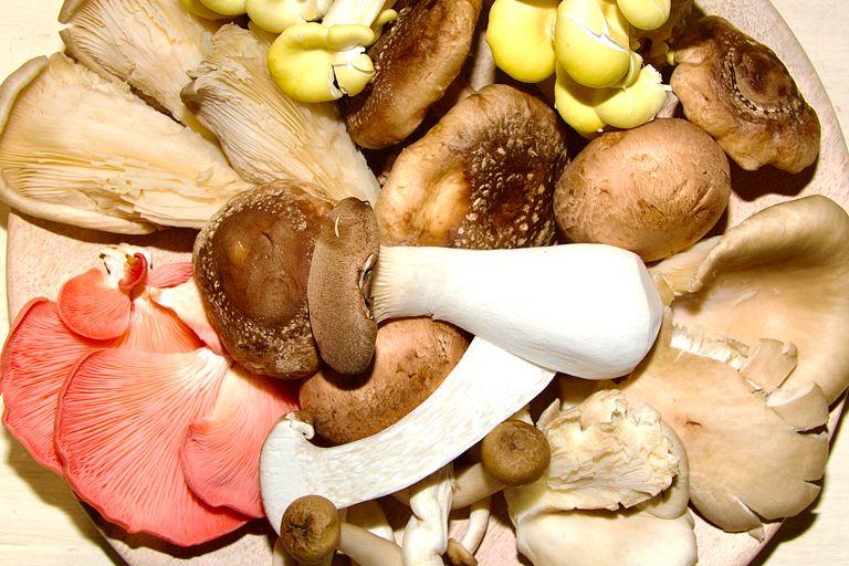 A delightful selection of mushroom varieties laid out on a simple wooden plate.